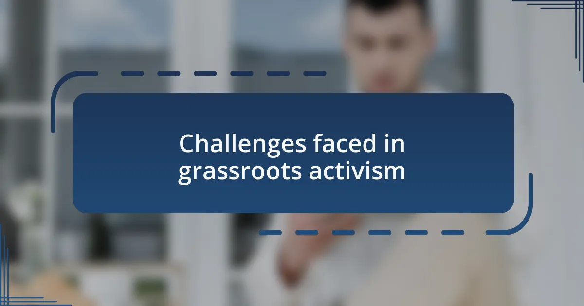 Challenges faced in grassroots activism